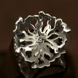 Zilveren ring     026043