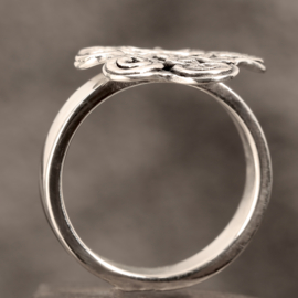 Zilveren ring.   01723