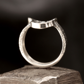 Zilveren ring 01586