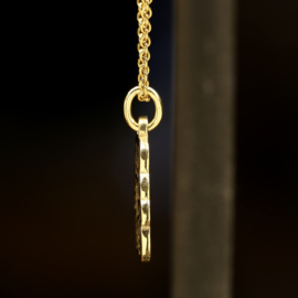 Geel gouden hanger   026029
