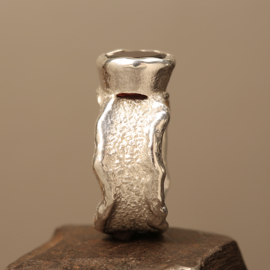 Zilveren ring 1160