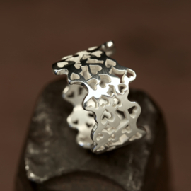 Zilveren ring        026042