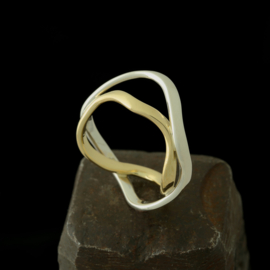 zilver gouden ring 01570