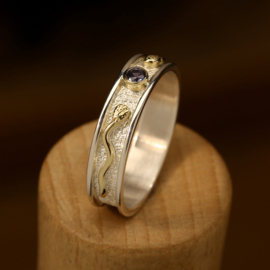 Zilver/gouden ring    024070