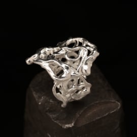 Zilveren ring 01607