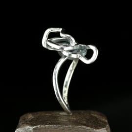 Zilveren ring 01562