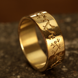 Gouden Ring 0180