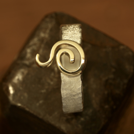 Zilver / gouden ring      026045