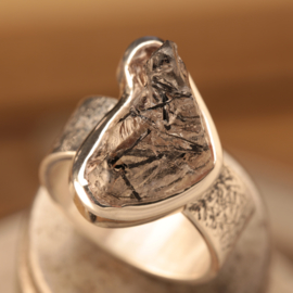 Zilveren ring  0750