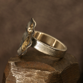 Zilver/gouden ring 01531