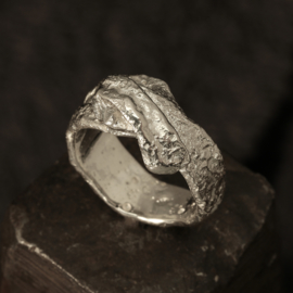 Zilveren ring 1334