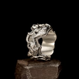 Zilveren ring  01622