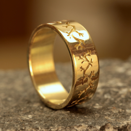 Gouden Ring 0180