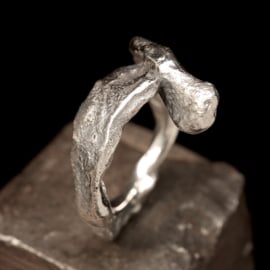 Zilveren ring   016261