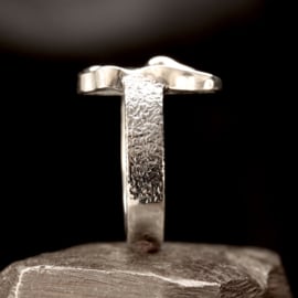 Zilveren ring 01586