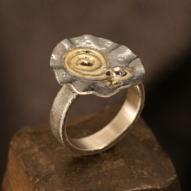 Zilver/gouden ring 01531