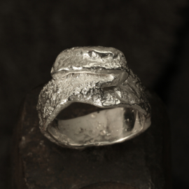 Zilveren ring 1334