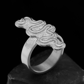 Zilveren ring.   01717