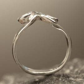 Zilveren Ring 00332