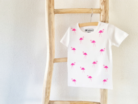 Baby/Kids Shirt little flamingo's