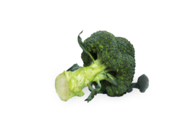Biologische Broccoli | 1 stuk