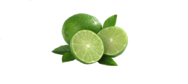 Biologische Limoen | 250 gram