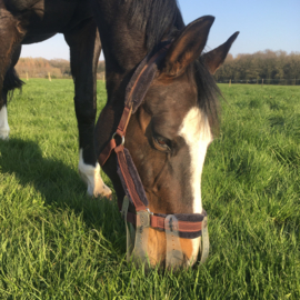 ThinLine® Flexible Filly 'Slow Feed' Graasmasker