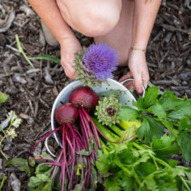 Ukies Moestuintje voor paarden | Ukies Paddock Paradise