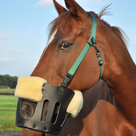 AS das Pferd - Lederen graasmasker / graaskorf met halster