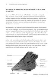 Antwoordenboek Hoefbevangenheid : meer dan 200 vragen beantwoord - Remco Sikkel (2020)