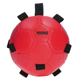 Maximus Fun Play Ball (div kleuren)