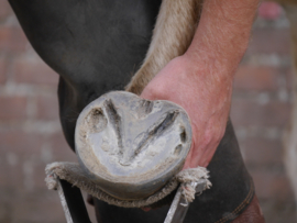 Unique-horn Magic Hoof Powder (bij natte en zachte hoeven en stralen)