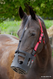 AS das Pferd im Blick Graasmasker Neusriem