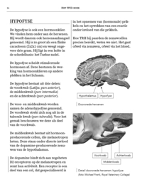 Het PPID-boek  - Remco Sikkel