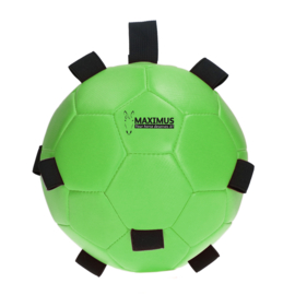 Maximus Fun Play Ball (div kleuren)