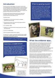 Brochure: ‘NEWC Grazing Muzzle Guidance’