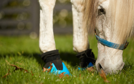 TubbEase™  EVA Hoof Pad (beschikbaar in vier maten)