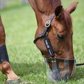 ThinLine® Flexible Filly 'Slow Feed' Graasmasker