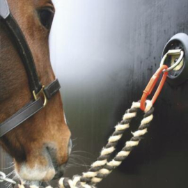 Equi-Ping Safety Release