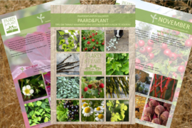 Paardenplanten jaarkalender - Paard&Plant