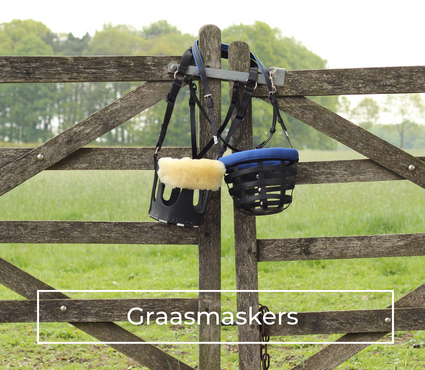 de beste graasmaskers voor jouw paard