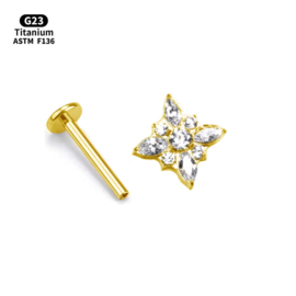 Top Star + Zirconia Gold Titanium