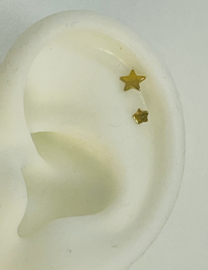 Top Ster Gold Titanium