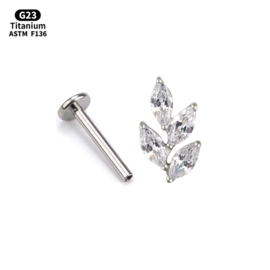 Top Branch + Zirconia titanium