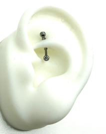 Curv. bb.  Jeweled Facing Forward