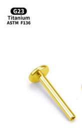 Alleen losse Int. Thr.  Labret Gold Titanium