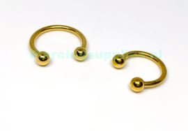 Gold Colored Circular Barbell diverse maten