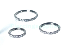 Jeweled Segment Clickers Titanium