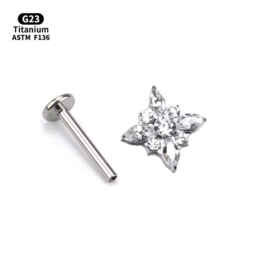 Top Star + Zirconia Titanium