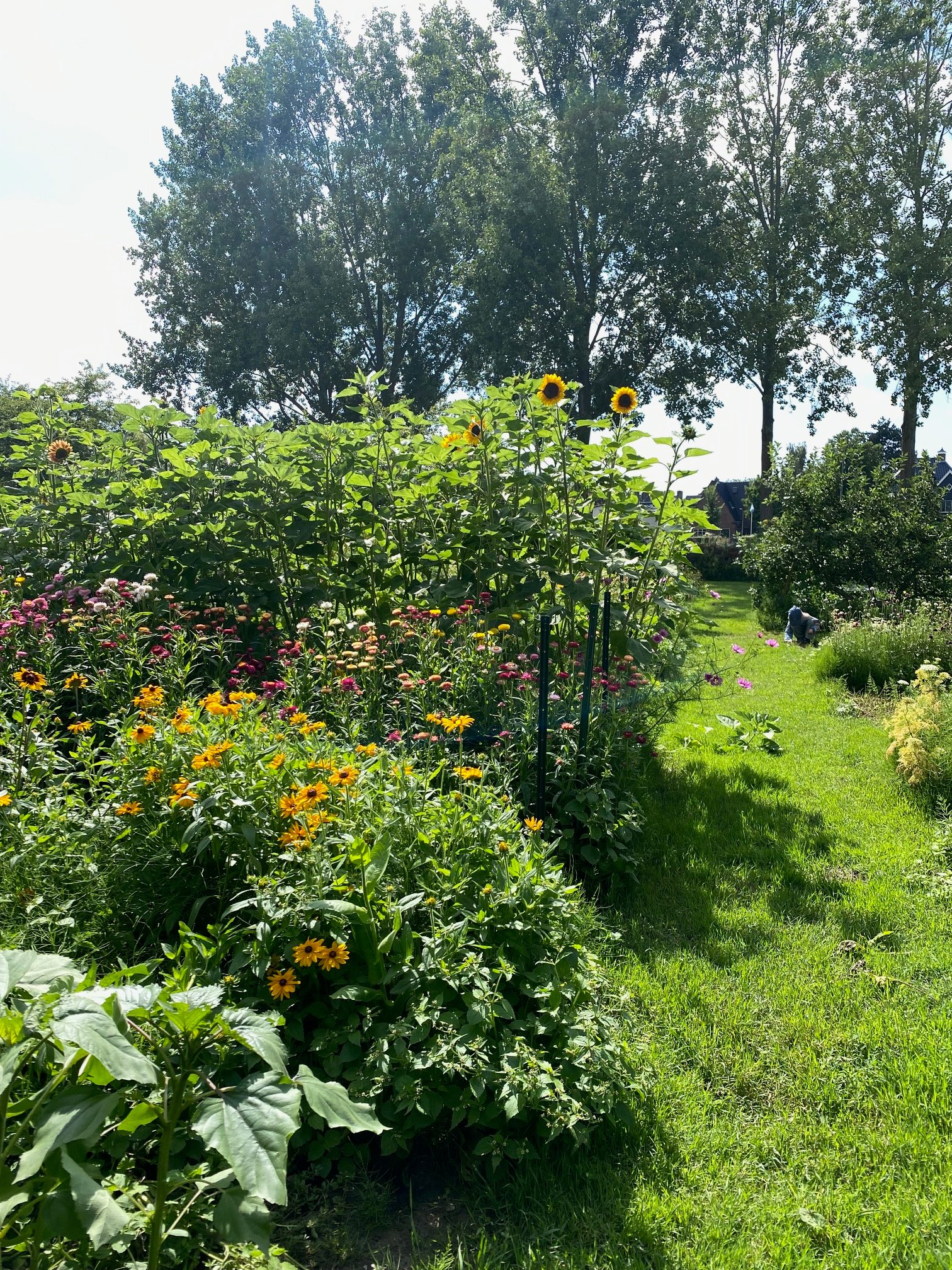 Zomerboeket